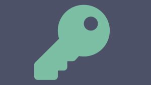 Password key